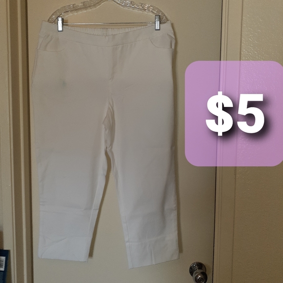 Isaac Mizrahi Pants - Pull up pants. NWOT. 18W. Never worn. Has stains.